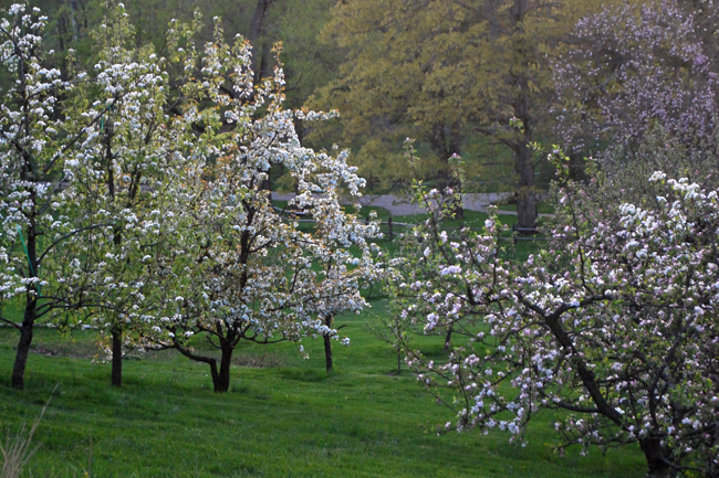 Somerset County, NJ Open Day